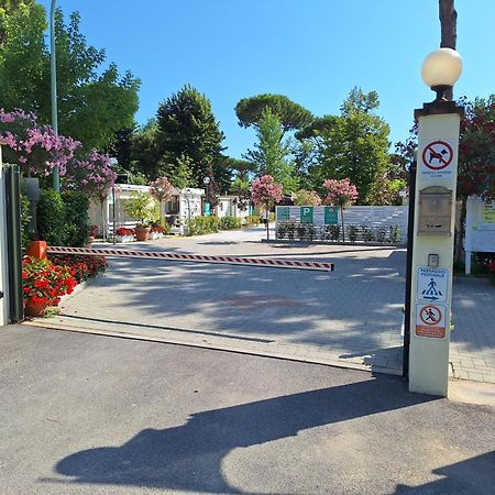 Camping Parco Vacanza Partaccia 2 マリーナ・ディ・マッサ エクステリア 写真